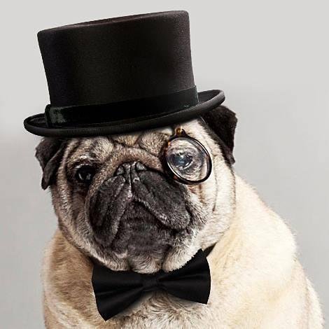 SirHarryButtz's profile picture. 