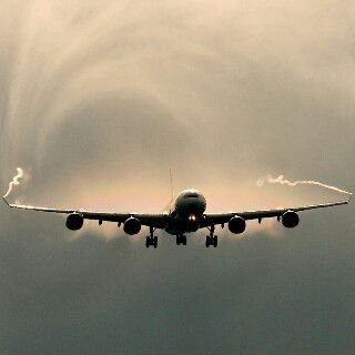 I fly above the trees, over the seas, in all degrees;). Earth