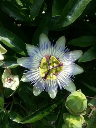 ijunbok7's profile picture. 원하는대로,바라는대로 이루어지리라~