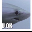 kaleb cameron - @KaKalebcameron - Twitter