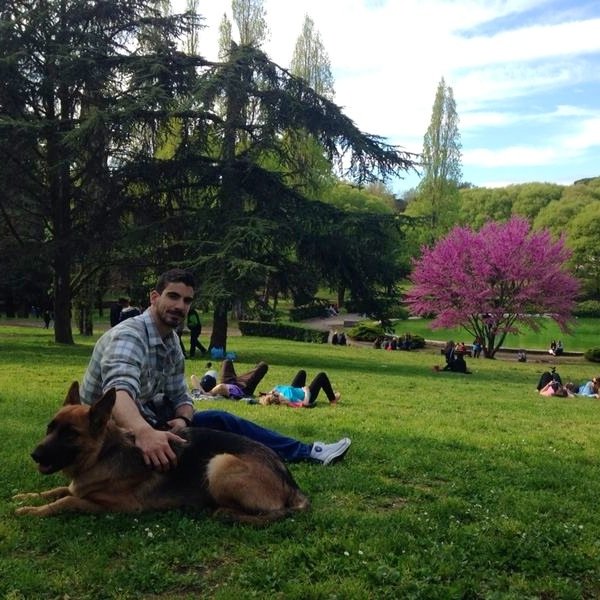 Andreas_Fragkos's profile picture. Sarko 22 Supersonic