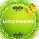 connect@lpwa.in