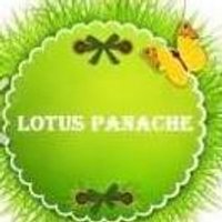 LPWA (@thelpwa) 's Twitter Profile