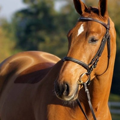 veerenv4's profile picture. 