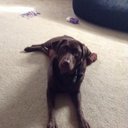 Jeff Goetz - @goetzjj4 - Twitter