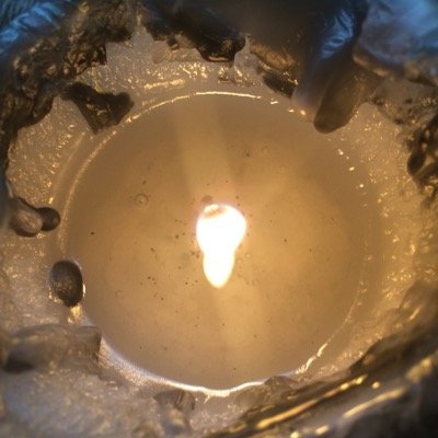 BrakkishPoop's profile picture. Brakkish