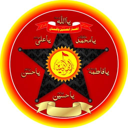 ansarulhussain Profile Picture
