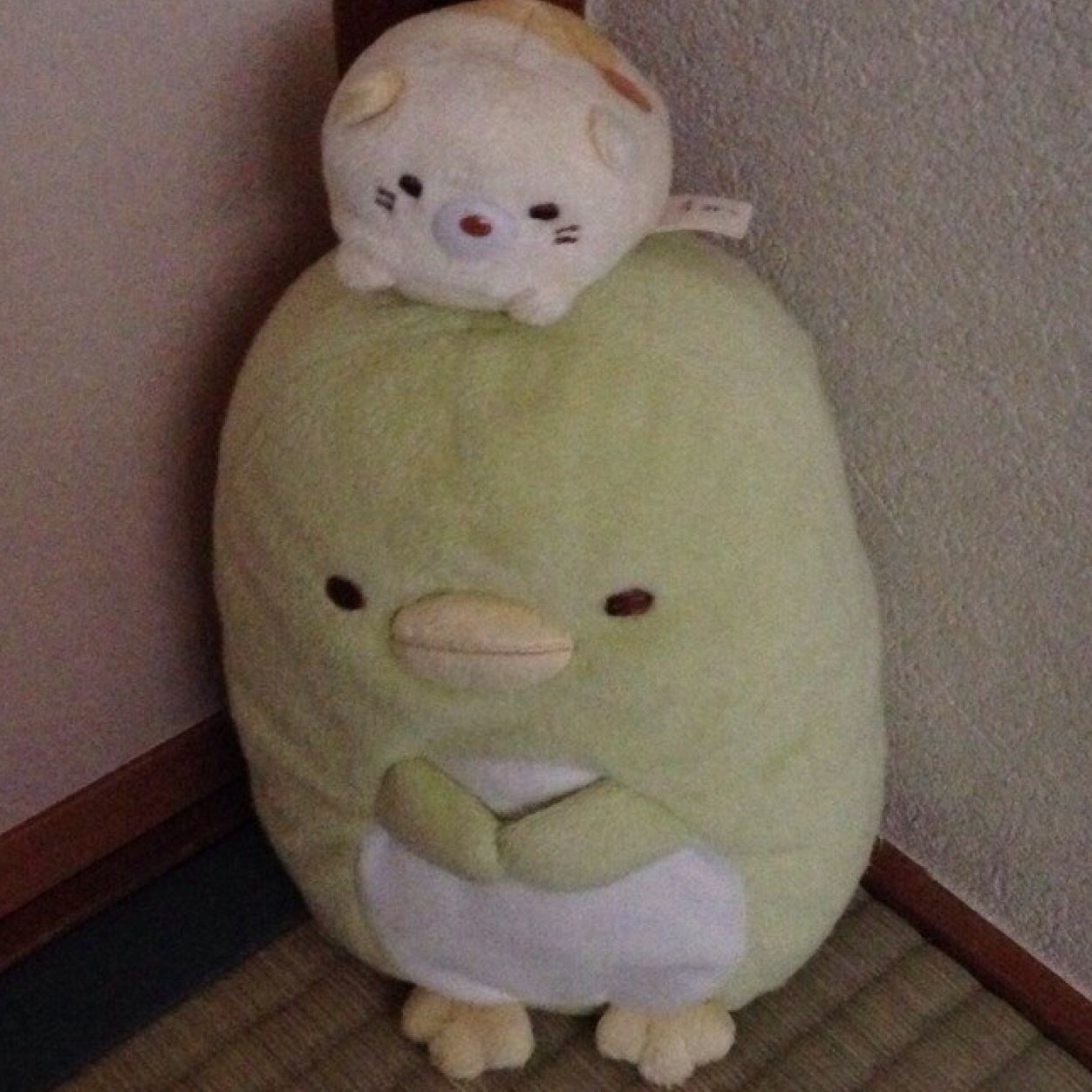 taipy25y30's profile picture. てこしくんになりたい。 太陽になりたい(*´▽｀*)