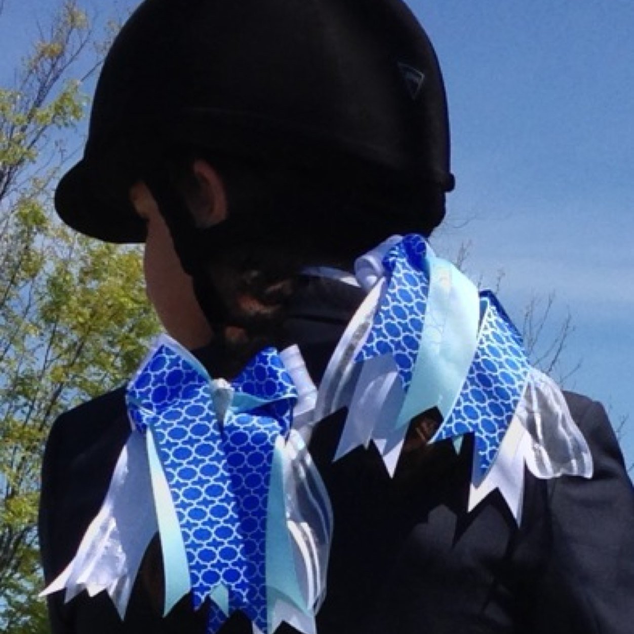 ChiefBowdangler's profile picture. Equestrian hair bows for girl riders at horse shows (leadline, short stirrup, pony hunters) are my passion.