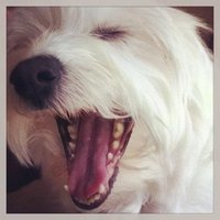 Nicole Down (@mrsdownnms) 's Twitter Profile