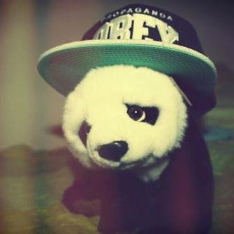 LindoPandarosa's profile picture. 