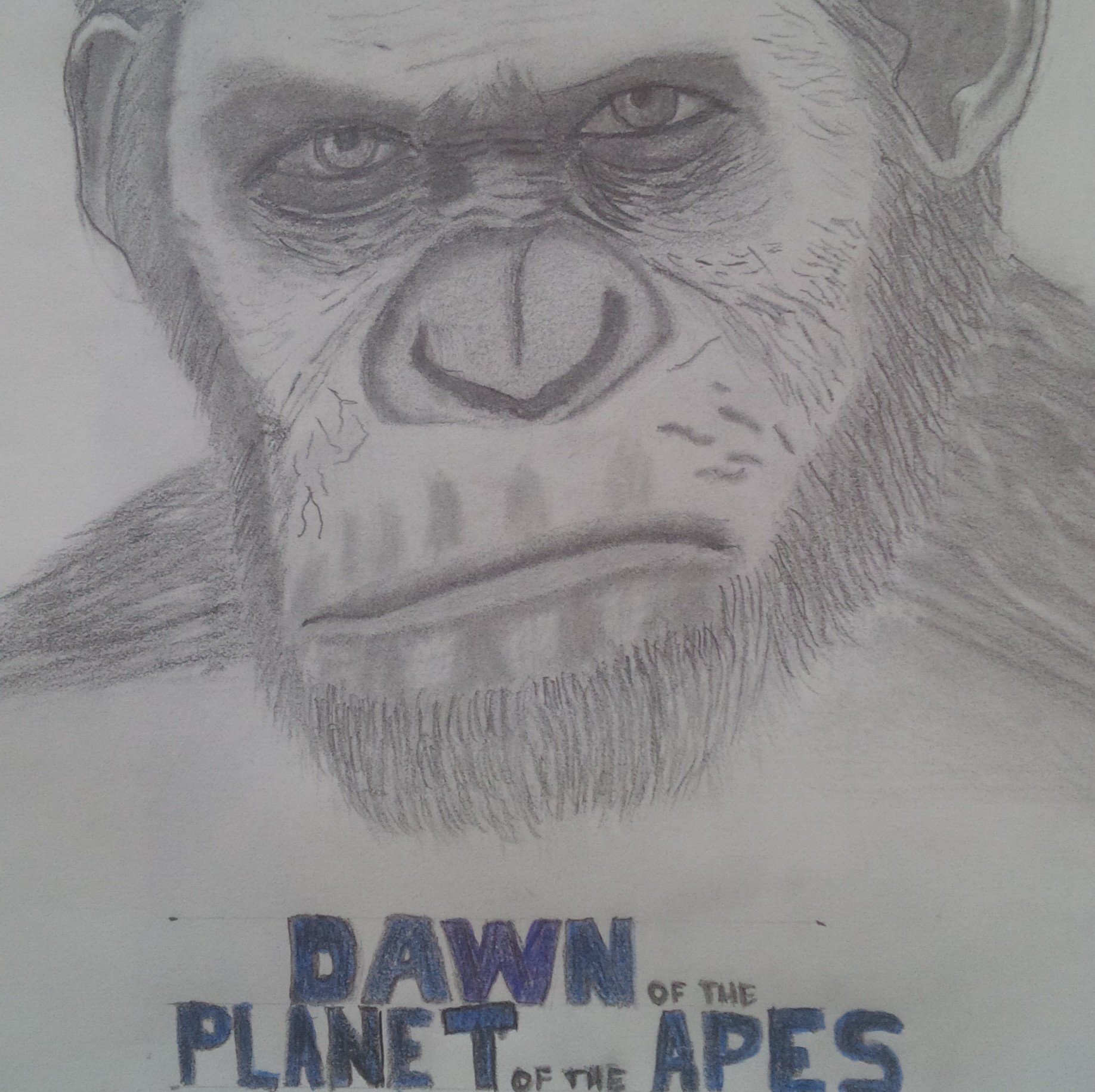 MonserratLuis's profile picture. 