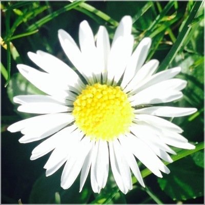 hapydeyes's profile picture. follow @zalfiethough