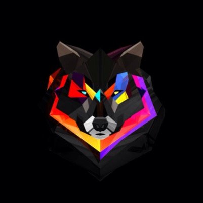 Lupo Is Wolf In Italian | I Make Music