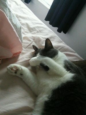 phds's profile picture. no