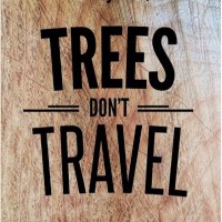 Trees Don't Travel (@treesdonttravel) 's Twitter Profile