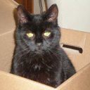 Hilary Lee - @HilaryJane8 - Twitter