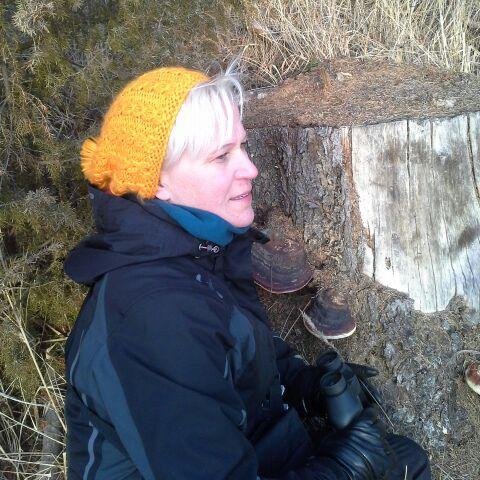 keloconcept's profile picture. Suomen Ladun lasten luontotoiminnan erityisasiantuntija, ympäristökasvattaja,  VO