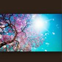 neelam kumar - @4ecbd3983ada46f - Twitter