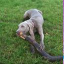 Zak Hunt - @Zakky_Potter - Twitter