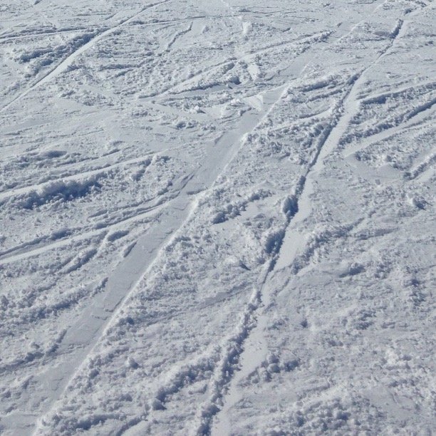 cayty566's profile picture. Ne suivs pas ce compte, c'est un follow gratuit. En échange tu peux follow @justmaughan ;) MERCI