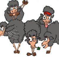 5 ovejas negras (@5ovejasnegras) 's Twitter Profile