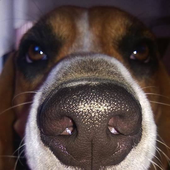 lalalalaytuyyo3's profile picture. 