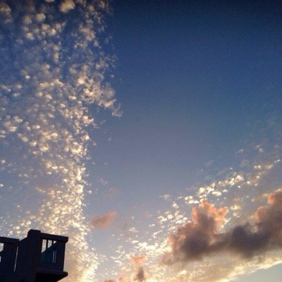 フォロバ絶対します！相互フォロー１００%！→【 相互フォロー支援垢 】