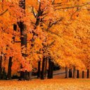 Denise Satterfield - @princessniecy31 - Twitter