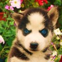 Darius Thornton  - @ThorntonDarius - Twitter