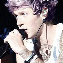 ||One Direction FanBOY|| ||Niall Horan will be the death of me|| ||@LouisBoob_|| ||Up All Night|| ||Take Me Home|| ||Midnight Memories|| ||FOUR||