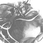 ItsAnniRoc's profile picture. Redakteurin bei @noz_de - aus diesen doch arg toXischen 
Gefilden verzogen.