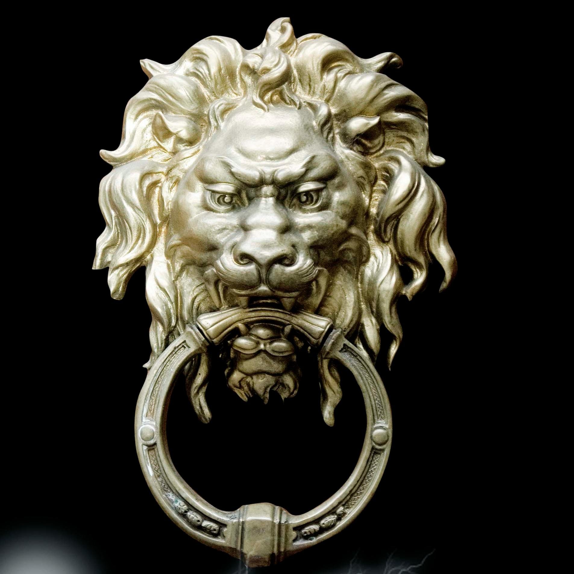 yush_lionsyard's profile picture. 