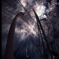 ريم الحربي (@vdbbcbhjdd) 's Twitter Profile