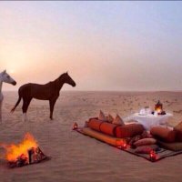 أ/ عبدالله اليامي (@ksa_man11) Twitter profile photo