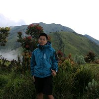 Mega Aditya (@mega_aditya17) 's Twitter Profile