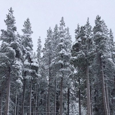 Bringing you the most Interesting & Beautiful photos of Nevada. Send in your photos @NevadaLife or use #BeautifulNevada to be featured. From the 775 to the 702.