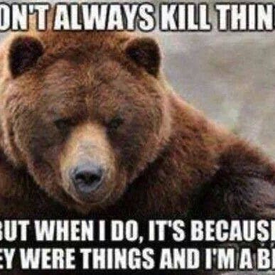 brian_rienstra's profile picture. 