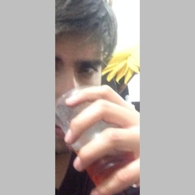 lion_olivera's profile picture. 