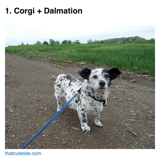 41 Reasons Why BuzzFeed Needs To Hire Better Copy Editors