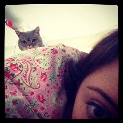 melissatomo's profile picture. 