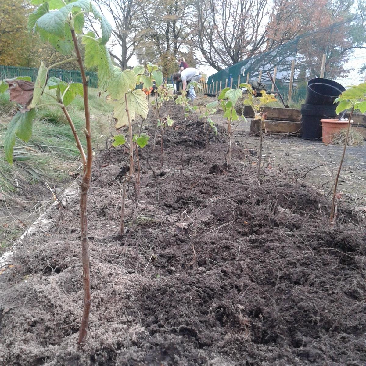 Friends of Platt Fields (FoPF) Volunteer group, we do fun things that make the park a nicer place to be. Follow us for updates and join in the fun!
