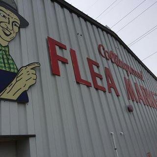 CollingwoodFlea's profile picture. Over 100 indoor and 600 outdoor tables on 25 acres!