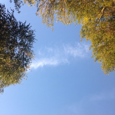 Humming in daily life.