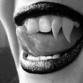 KimikoTao's profile picture. 