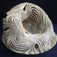 Ben Nicolas (@jaminnicolas) 's Twitter Profile