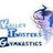 ValleyTwisters's profile image