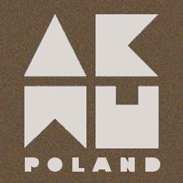 1st Polish fansite about AKDONG MUSICIAN