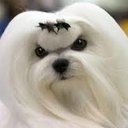 Evie Porter - @evieisepic10 - Twitter