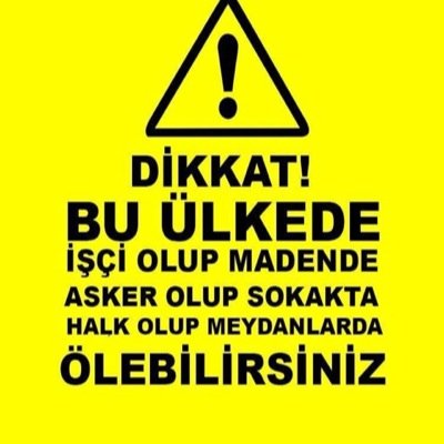 Atatürk🇹🇷 🌿Fenerbahçe      🇹🇷Nutuk atanların değil, Nutuk yazanların izindeyiz...